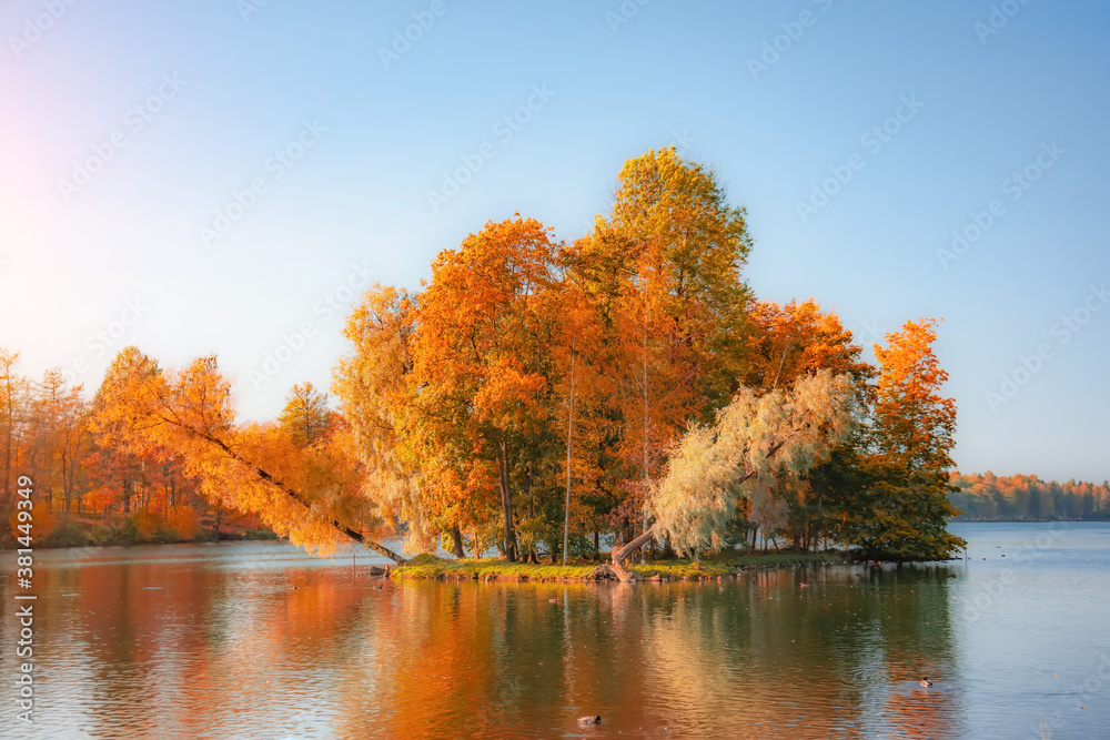 Island with autumn sloping trees in a large lake. Island with autumn sloping trees in a large lake.