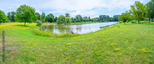 Panoramic view of green meadow with yellow flowers around lake in Angern an der March (AUSTRIA) photo