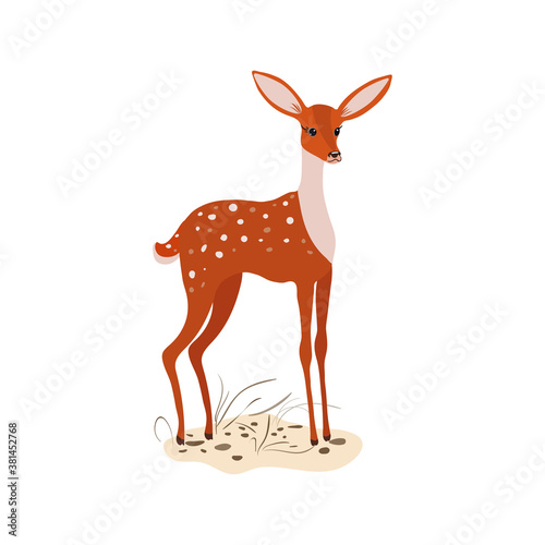 Orange baby deer with white spots stands in the meadow