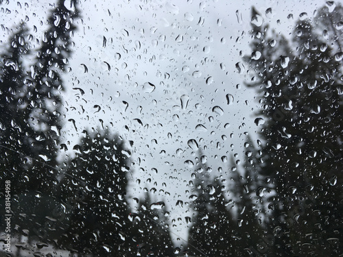 A dark and moody view of trees outside the car window on a rainy day, with raindrops on the glass
