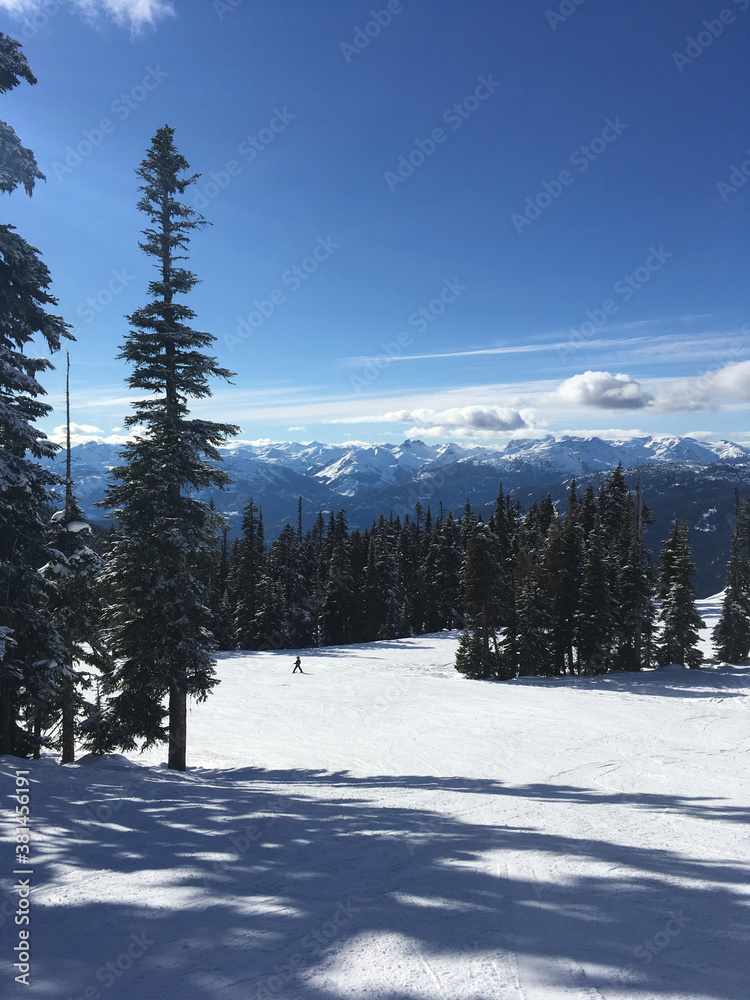 Fototapeta premium Winter landscape scene at a ski resort, with skiers and snowboarders on a run framed by pine trees
