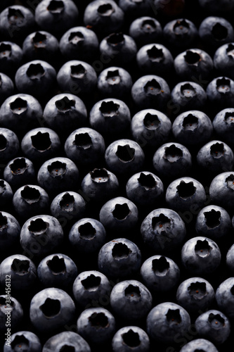 blueberries dark black group soft fruit