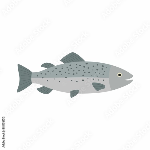 Salmon fish. Vector illustration isolated on white background.