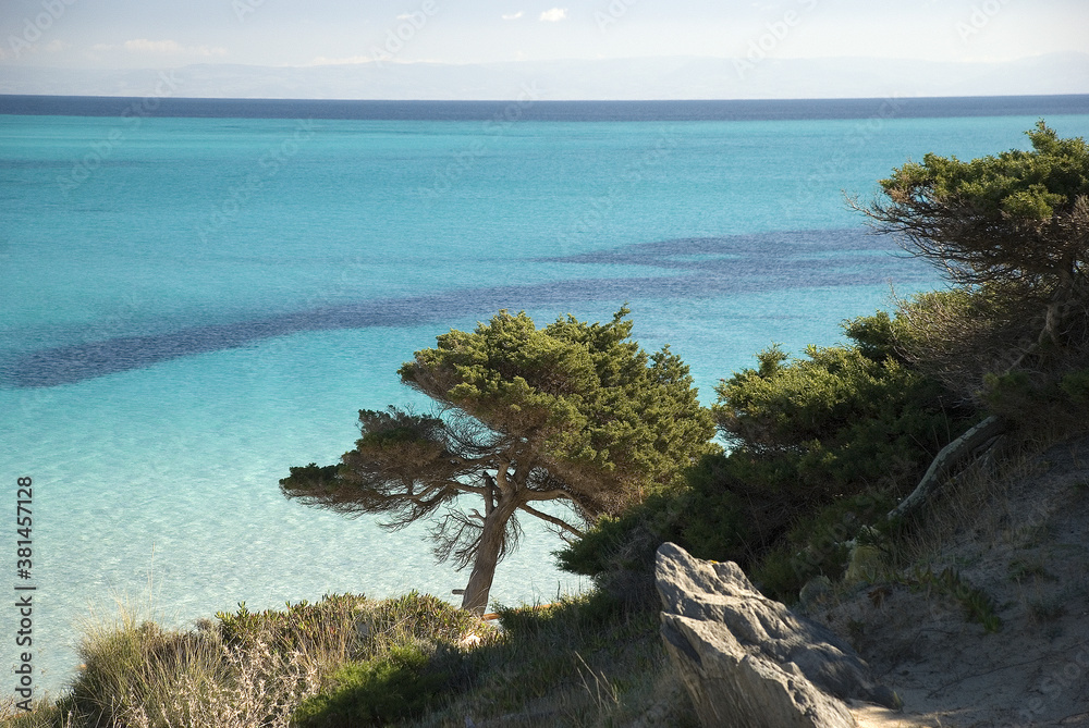 spiaggia pelosa