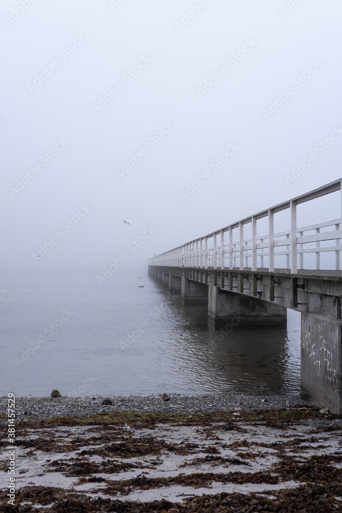 Pier by beach in mist