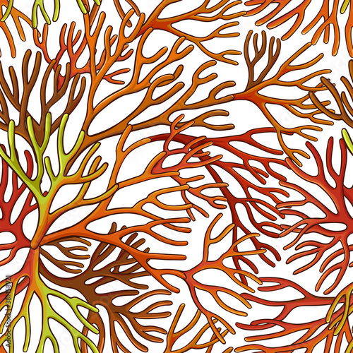 sea moss pattern