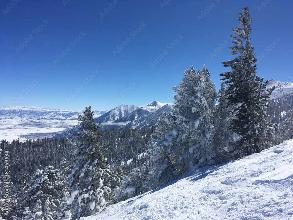 Pretty winter landscape scene, with snow covered trees framing snow covered mountains and peaks, on a bright sunny day with blue skies