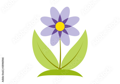 Flor de pétalos morados en fondo blanco.