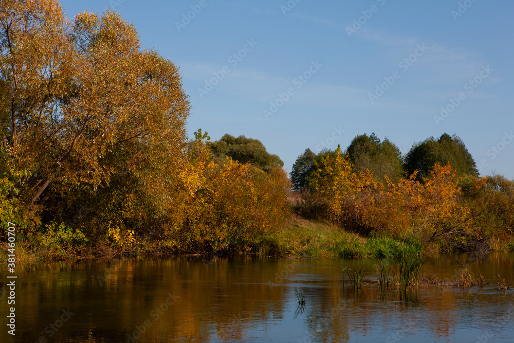 Fototapeta premium Colorful reflection of the autumn forest and blue sky in the river. Russia,