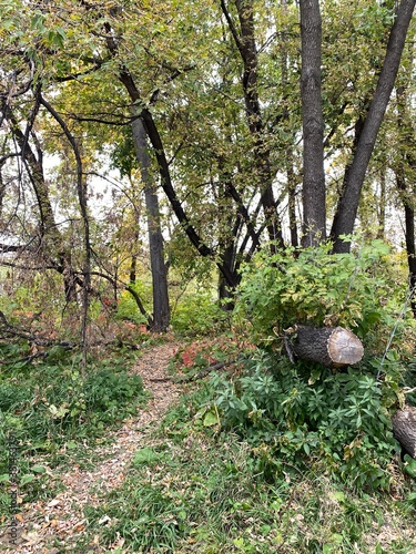 North Dakota Scenic Autumn Landscape
