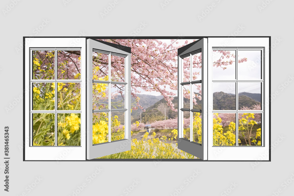 Fototapeta premium 窓から河津桜
