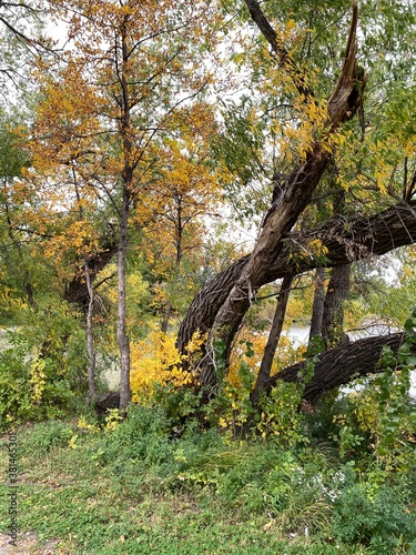 North Dakota Scenic Autumn Landscape