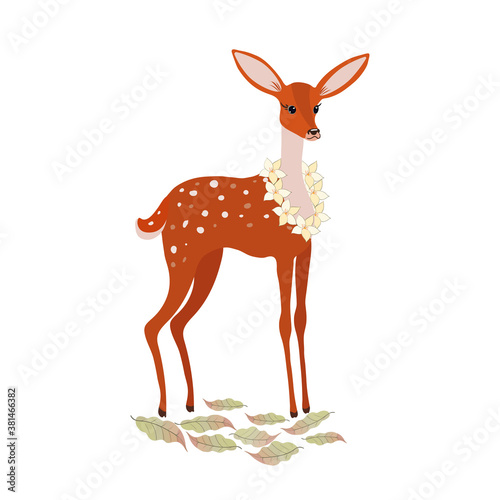 Orange baby deer with flowers stands in the meadow