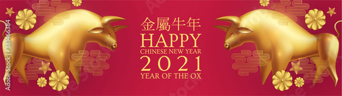 Happy Chinese new Year 2021 The year of the metal ox. Chinese traditional text means year of the ox . Holiday greetings with realistic 3D metal golden ox character