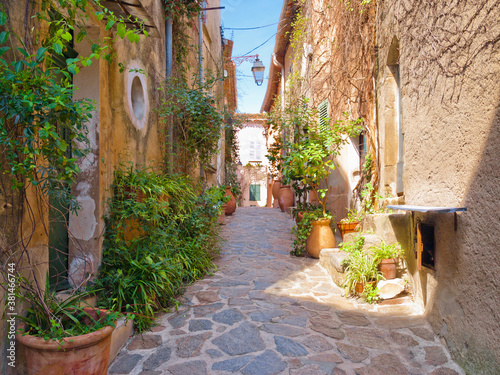 Fototapeta Naklejka Na Ścianę i Meble -  Street in Ramatuelle village, French Riviera, Cote d'Azur, Provence, southern France