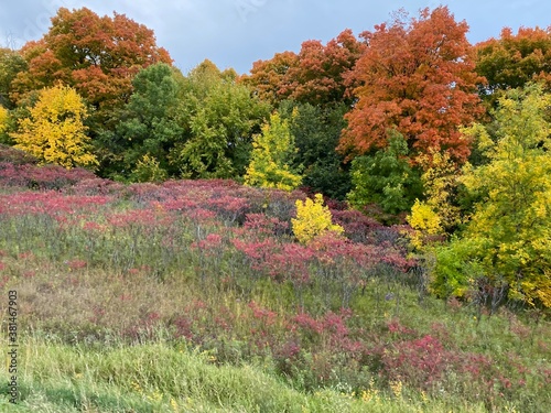 Minnesota Scenic Autumn Landscape
