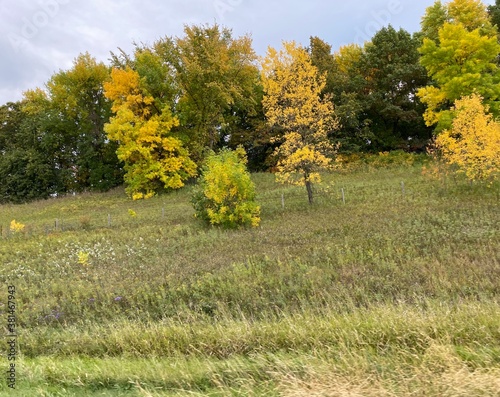 Minnesota Scenic Autumn Landscape