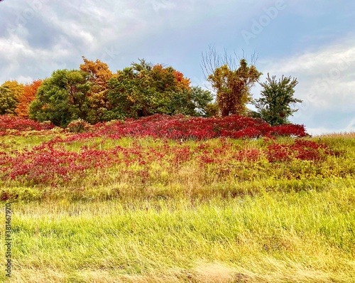Minnesota Scenic Autumn Landscape