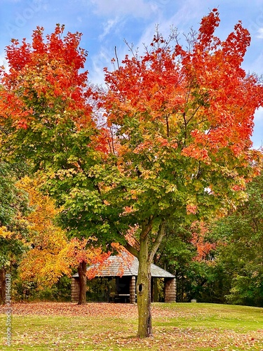 Minnesota Scenic Autumn Landscape