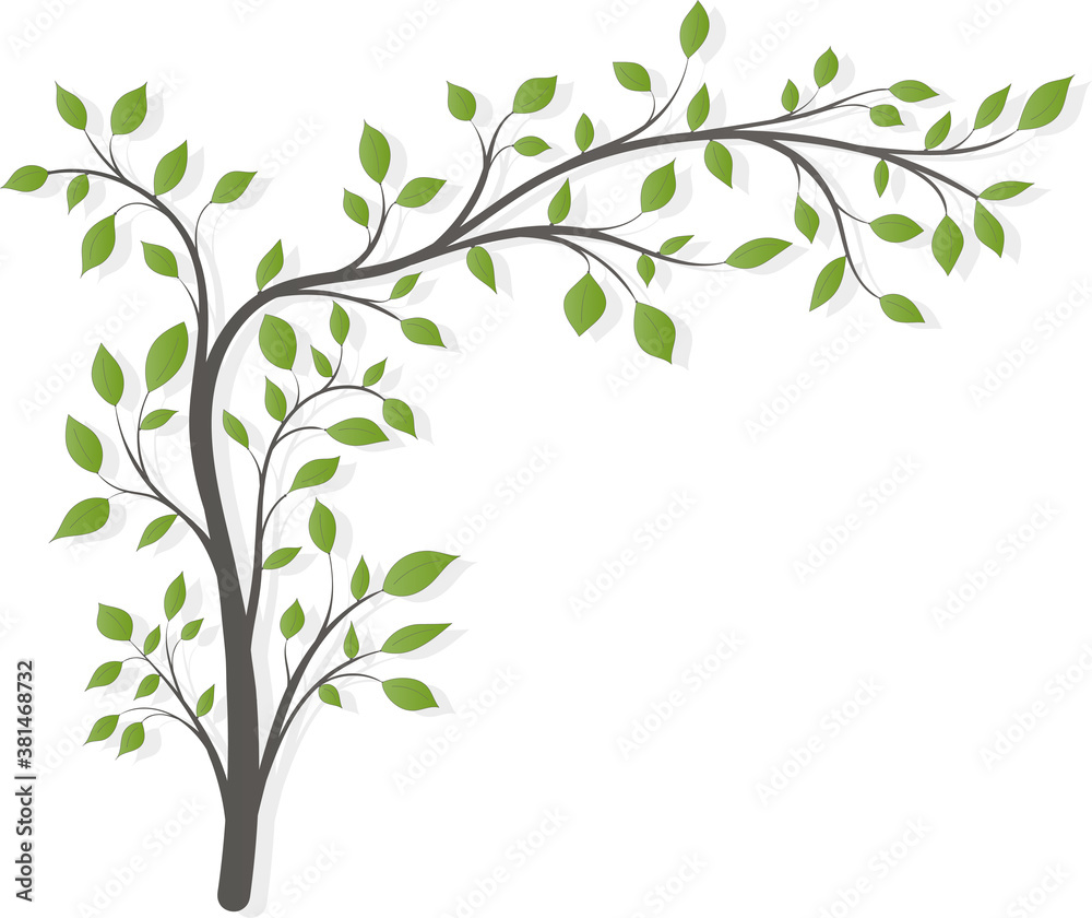 A tree with a long branch with green leaves and light shade isolated on a light background A tree with a long branch with green leaves and light shade isolated on a light background