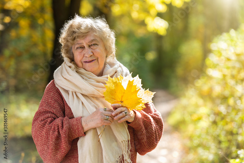 Gray-haired, smiling elderly woman in an autumn park. Happy old age, walking in nature, positive emotions.
