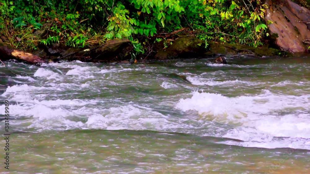 Georgia Chastatee River A view of several rapids on the Chestatee River Georgia Chastatee River A view of several rapids on the Chestatee River