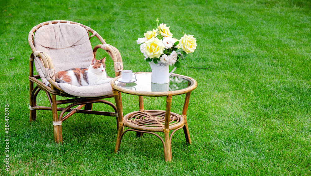 Outdoor chairs sale for grass