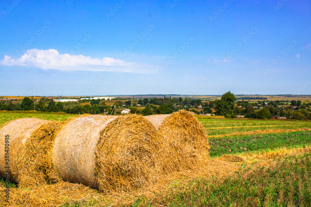 Beautiful landscape with harvested bales of straw in field. Haystack rolls on agriculture field in autumn sunny day. Agriculture field haystack harvest scene with blue sky.