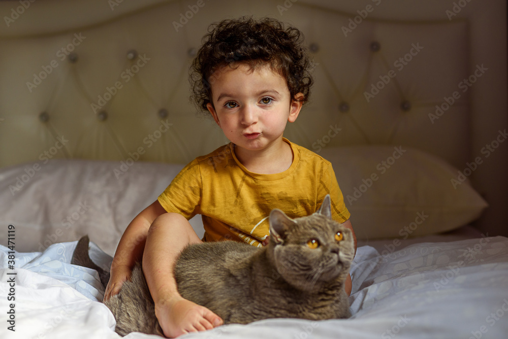 Little boy relaxing on the bed with his cat. Portrait of a small cute kid with curly hair playing with british cat. Selective focus on baby face. Little boy relaxing on the bed with his cat. Portrait of a small cute kid with curly hair playing with british cat. Selective focus on baby face.