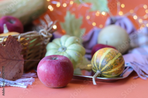 Thanksgiving, pumpkins, apples, leaves, warm plaid on orange background, illumination, harvest concept, home interior decoration, autumn season