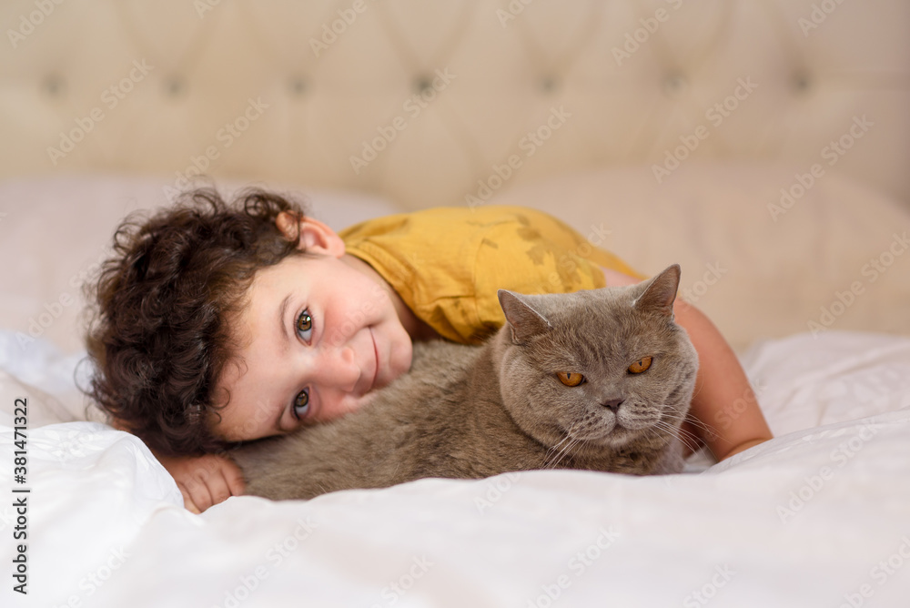 Little boy relaxing on the bed with his cat. Child is hugging a kitten. Portrait of a small cute kid with curly hair that embraces with tenderness and love a british cat and smiles with happiness.