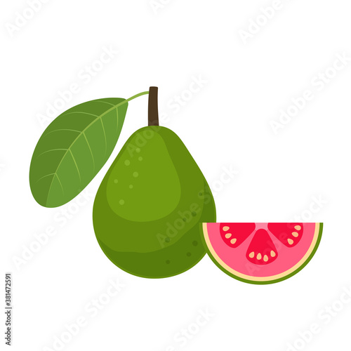 Guava whole fruit with slice flat design