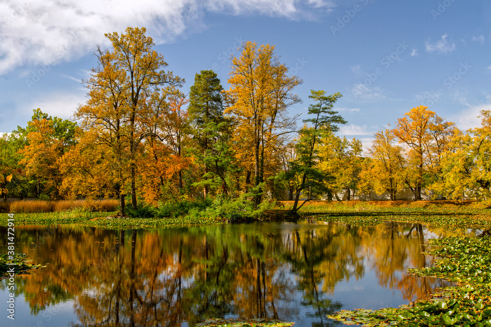 Beautiful autumn landscape. Yellow trees and blue sky reflected in calm water. Autumn park in the sunny day. Europe.