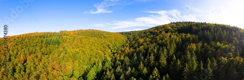 a mixed forest as a high definition panorama © Tobias Arhelger