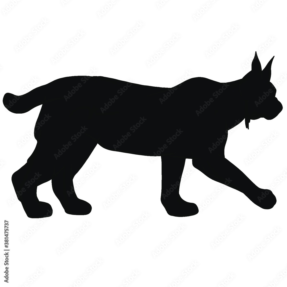 Bobcat black silhouette. Lynx illustration 