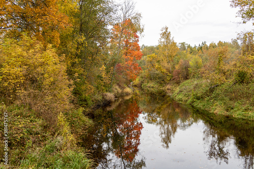 Autumn scene with colorful bright trees, river and reflections in water in Latvia in October