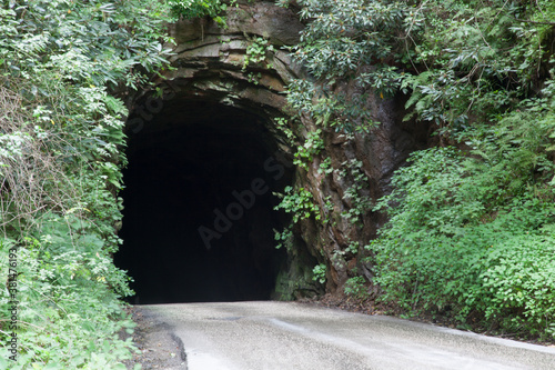 Fototapeta Naklejka Na Ścianę i Meble -  Road through a tunnel of rock