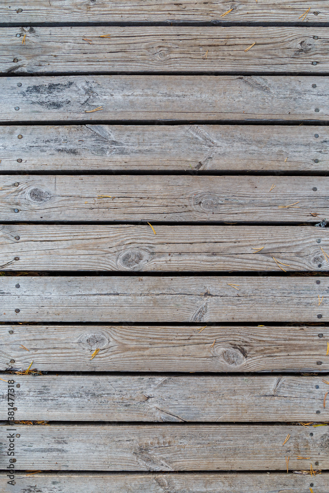 Pine needles on aged, weathered and gray wood boards, top view. High resolution full frame textured background. Viewed from above. Pine needles on aged, weathered and gray wood boards, top view. High resolution full frame textured background. Viewed from above.