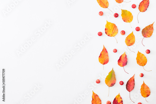 Flat lay pattern with colorful autumn leaves and small red apples on a white background