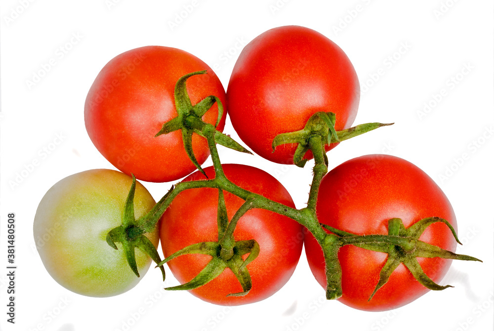 Cherry tomato isolated on white, top view Cherry tomato isolated on white, top view