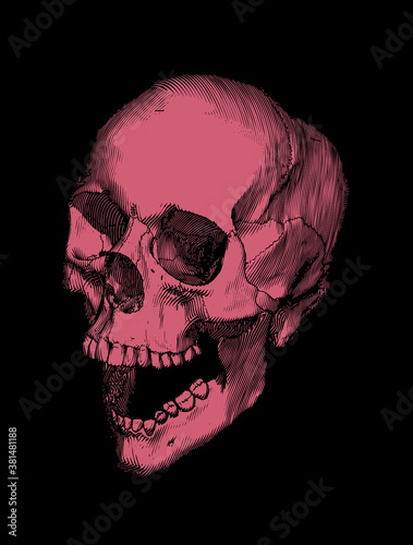 Red vintage skull drawing illustration on dark BG