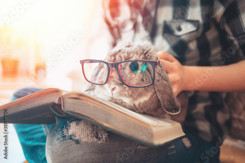 A woman is holding a lop-eared rabbit with glasses, which is sitting on her laps with a book. Concept of education and reading