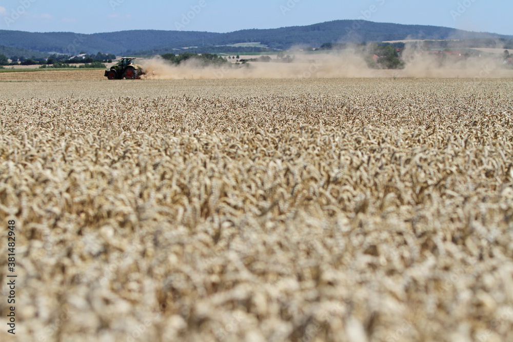 Traktor mäht Getreide auf dem Feld Traktor mäht Getreide auf dem Feld