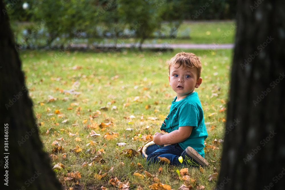 A small child in the Park, among the trees. The child is sitting on the lawn, near the fallen leaves. A small child in the Park, among the trees. The child is sitting on the lawn, near the fallen leaves.