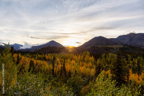 Beautiful View of Colourful Fall Forest and Mountains at Sunrise in Canadian Nature. Tombstone Territorial Park  Yukon  Canada.