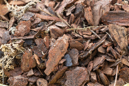 Orchid substrate made of pine bark, textured