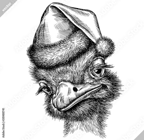 black and white engrave isolated ostrich vector illustration