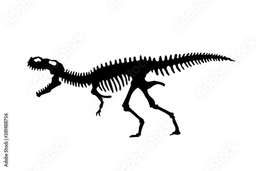 Vector silhouette of dinosaurs skeleton. Hand drawn dino skeleton. Dinosaur bones  exhibit fossils in the museum