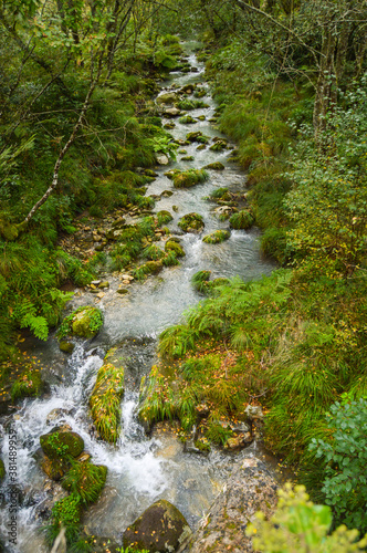A river crosses a forest in Galicia © Pablo