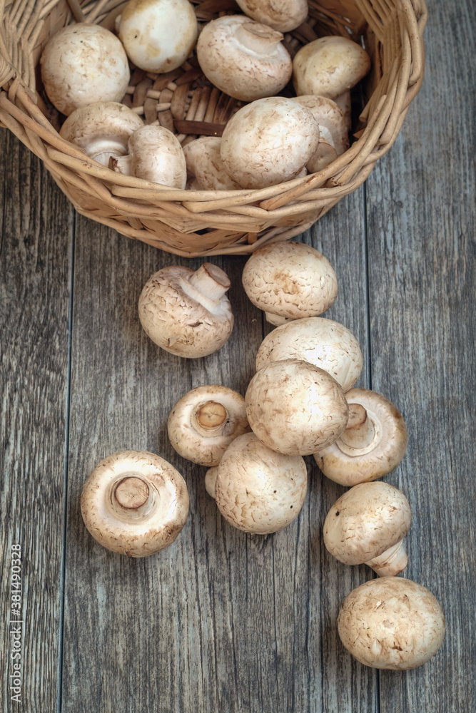 White mushrooms and basket on the wooden rustic table, top view White mushrooms and basket on the wooden rustic table, top view